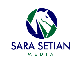 Sara Setian Media entry by mulia