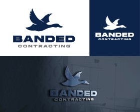 Banded Contracting entry by Recrod Viente