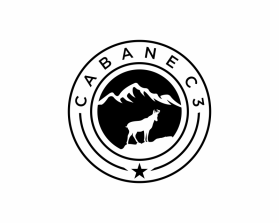 CABANE C3 entry by Mza