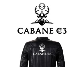 CABANE C3 entry by LeVi