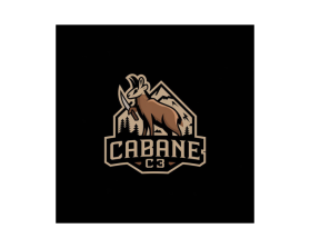 CABANE C3 entry by MohdLaik17