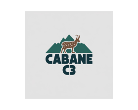 CABANE C3 entry by MohdLaik17