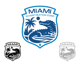 MIAMI INVESTIGATION CORP entry by LeVi