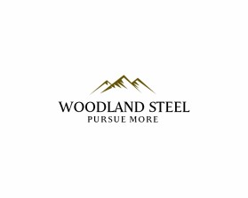 Woodland Steel entry by ALI GUTIERREZ