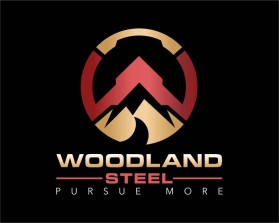 Woodland Steel entry by nirajdhivaryahoocoin