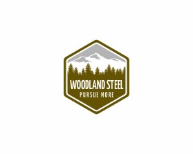 Woodland Steel entry by ALI GUTIERREZ