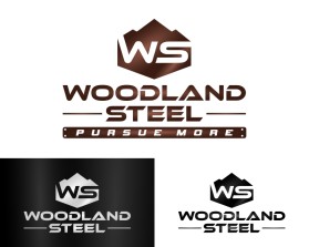 Woodland Steel entry by Ari Muchtarom