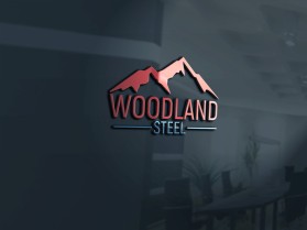 Woodland Steel entry by Md Nor Hossain