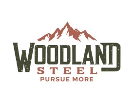 Woodland Steel entry by Paul Julian