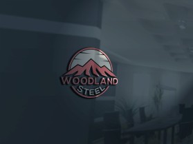 Woodland Steel entry by Md Mizanur Rohman