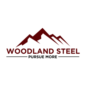 Woodland Steel entry by flas