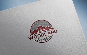 Woodland Steel entry by Md Mizanur Rohman