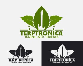 Terptronica entry by ebitsanuri