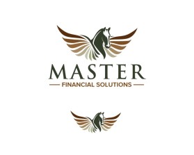 Masters Financial Solutions entry by TERION