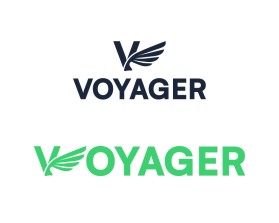 Voyager entry by Bendangyanger Imchen Teka