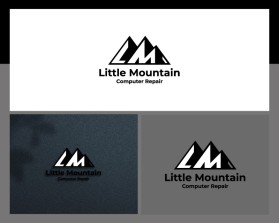 Little Mountain Computer Repair entry by Nishant Shukla
