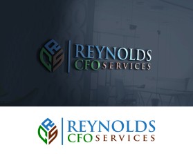 Reynolds CFO Services entry by Erliyana