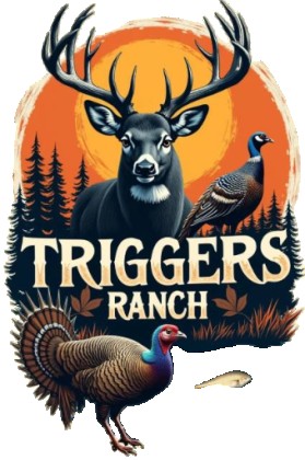 Triggers entry by ripon ali