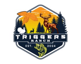 Triggers entry by Bendangyanger Imchen Teka
