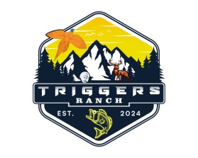 Triggers entry by Bendangyanger Imchen Teka