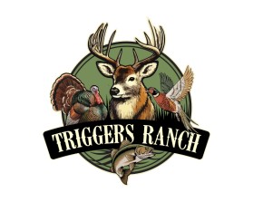 Triggers entry by Novan