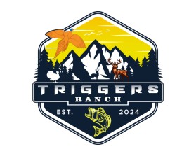 Triggers entry by Bendangyanger Imchen Teka