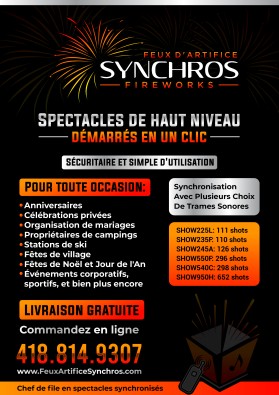 Synchros Fireworks entry by Unik Media