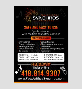 Synchros Fireworks entry by Unik Media