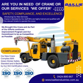 baillie industries entry by Emmanjose