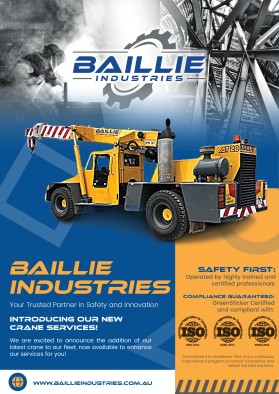 baillie industries entry by Saeed422