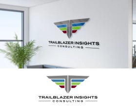 Trailblazer Insights entry by andsue