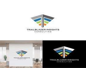 Trailblazer Insights entry by gepz