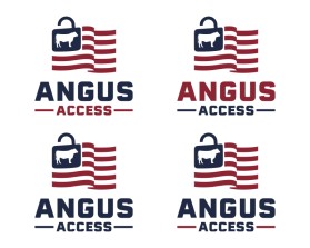 Angus Access entry by LeVi