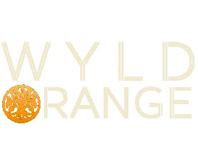 WYLD Orange Foundation entry by Arkworks