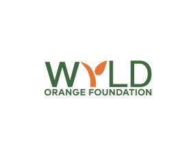 WYLD Orange Foundation entry by Zavi