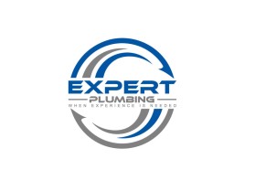 Expert Plumbing entry by Design Rock