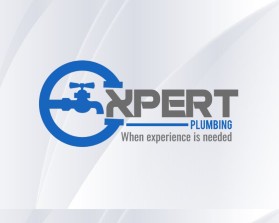 Expert Plumbing entry by PENA