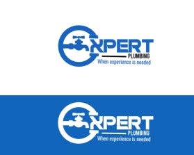 Expert Plumbing entry by PENA