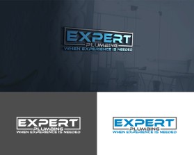 Expert Plumbing entry by zudyes