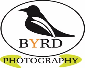 Byrd Photography entry by Dwi Lestianto