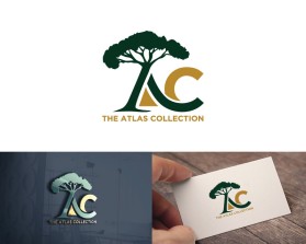 The Atlas Collection entry by Amit Kumar