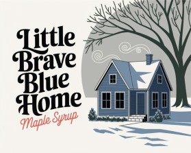 Little Brave Blue Home entry by contest