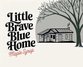 Little Brave Blue Home entry by contest