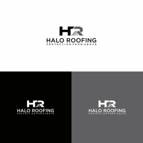 HALO Roofing entry by nick