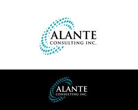 Alante Consulting Inc. entry by Amir Hamzaa