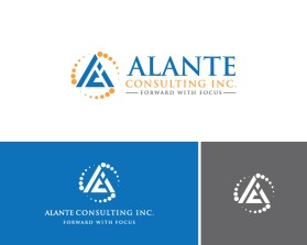 Alante Consulting Inc. entry by Amir Hamzaa