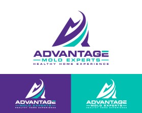 Advantage Mold Experts entry by LeVi