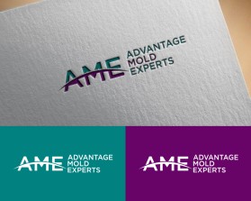 Advantage Mold Experts entry by creativac