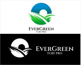 EverGreen Turf Pro entry by wwn