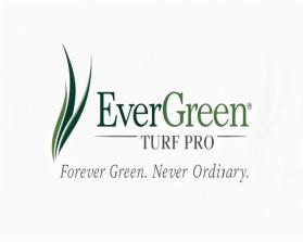 EverGreen Turf Pro entry by deddvin